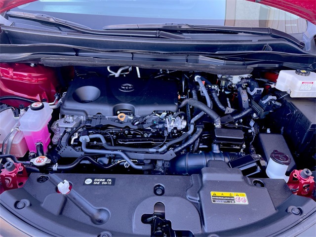 2024 Toyota Sienna LE photo 14