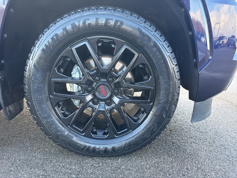 2024 Toyota Sequoia SR5 photo 4