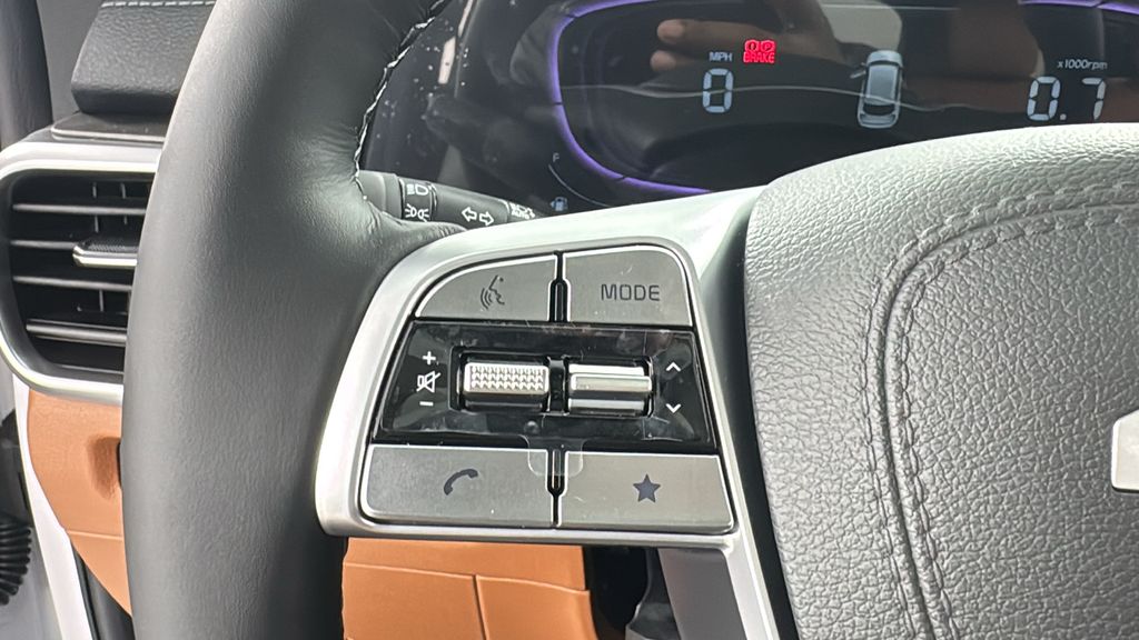 2025 Kia Telluride EX X-Line photo 22
