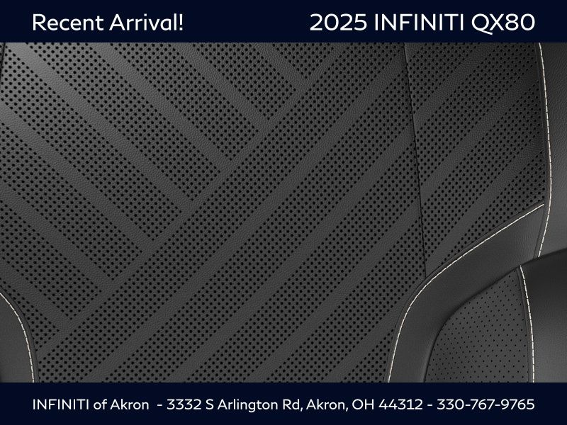 2025 Infiniti QX80 Luxe photo 15