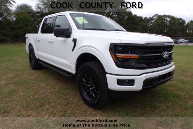 2025 Ford F-150 XLT's photo