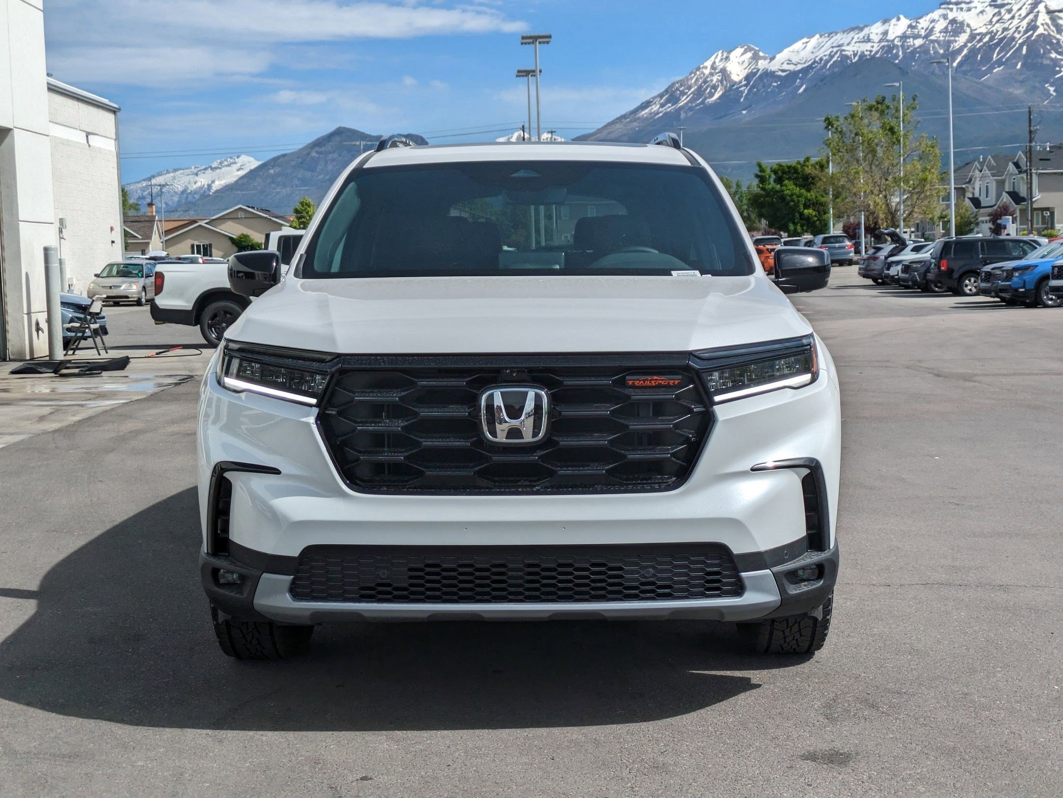 2025 Honda Pilot TrailSport photo 8