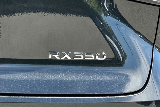 2025 Lexus RX 350 Premium photo 6