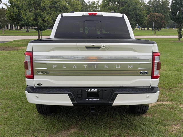 2022 Ford F-150 Platinum photo 5
