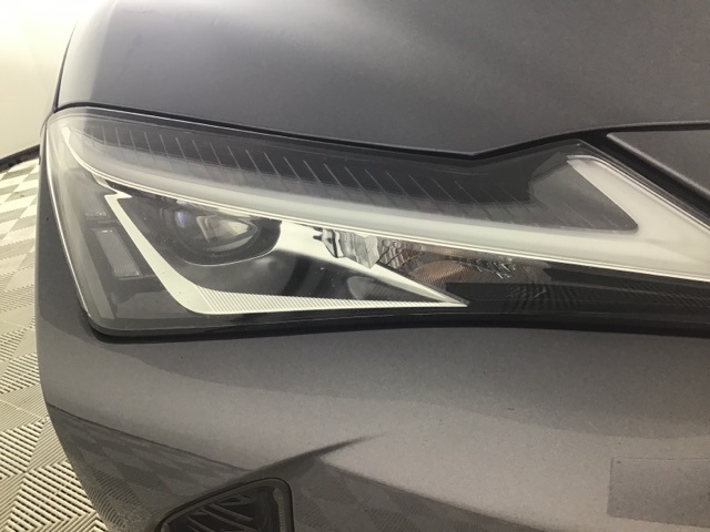 2021 Lexus UX 250h F SPORT photo 16
