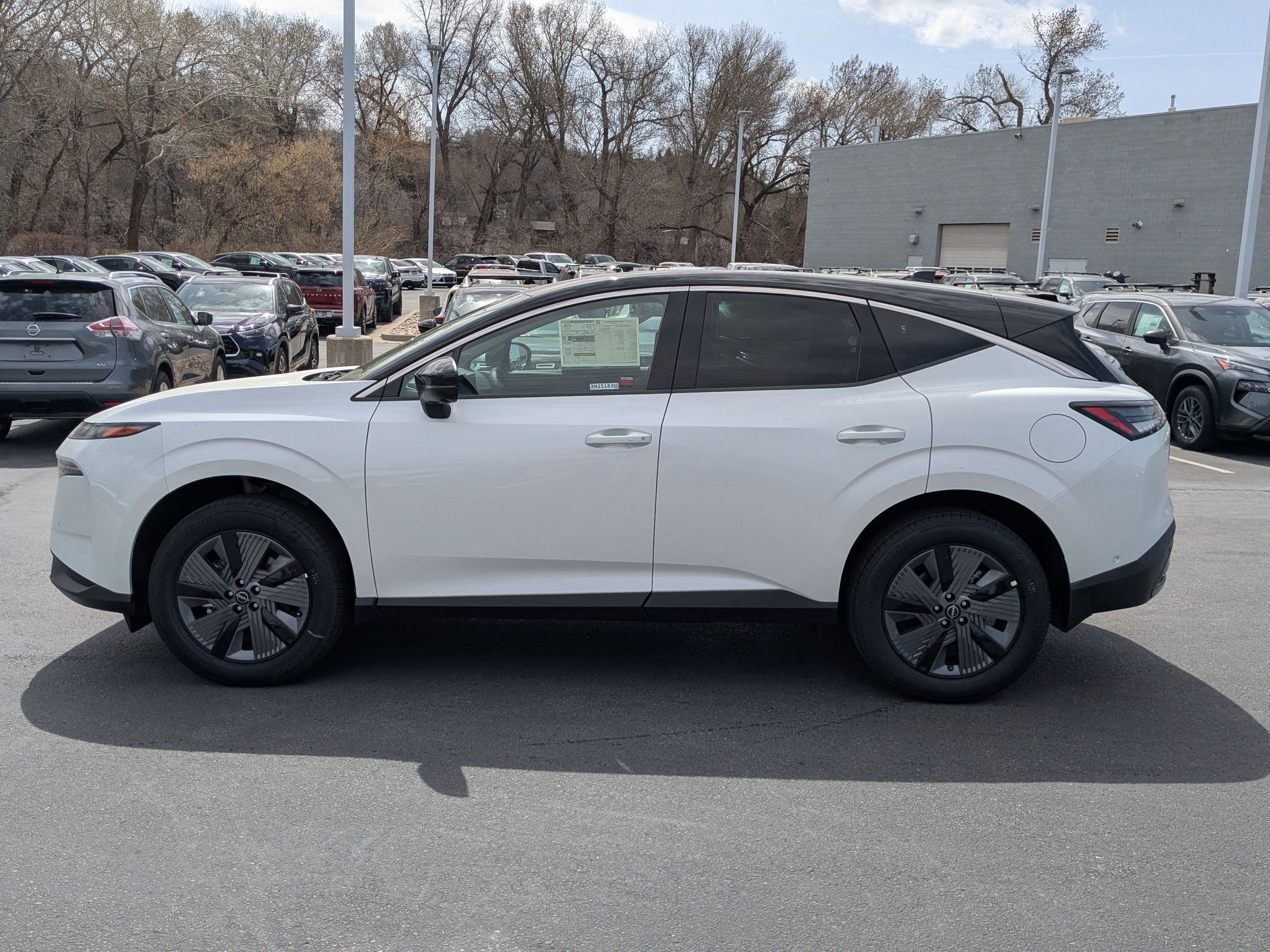 2025 Nissan Murano SL photo 4
