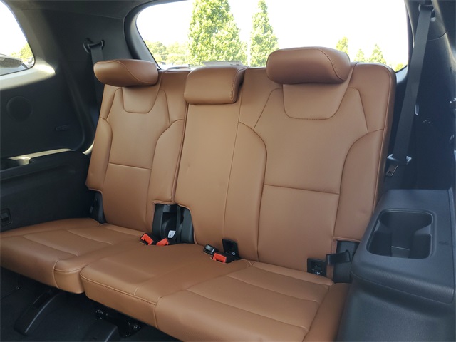 2025 Kia Telluride SX Prestige X-Line photo 7