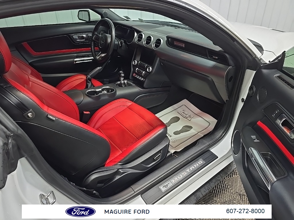 2019 Ford Mustang GT Premium photo 15