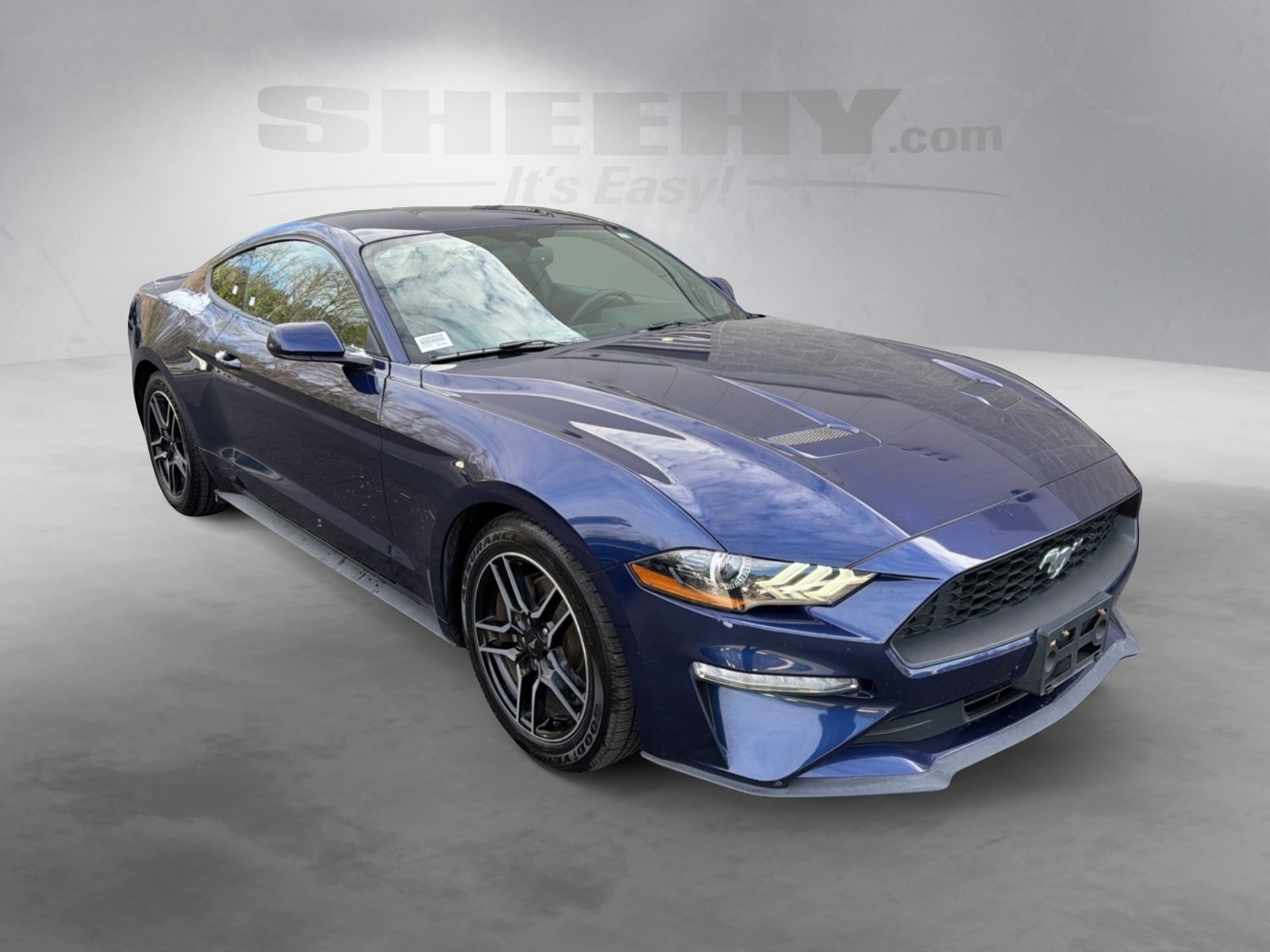 2019 Ford Mustang EcoBoost's photo