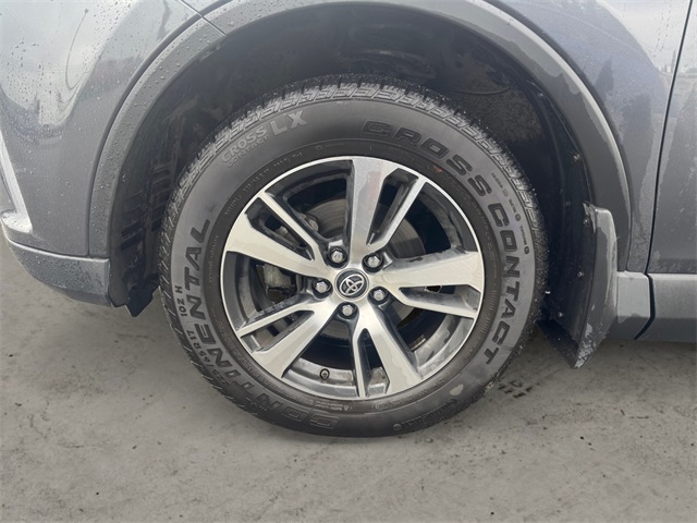 2017 Toyota RAV4 XLE photo 10