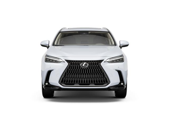 2026 Lexus NX Luxury AWD photo 5