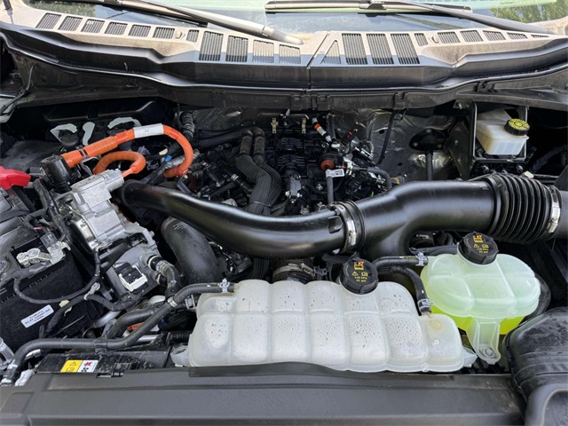 2024 Ford F-150 XLT photo 13