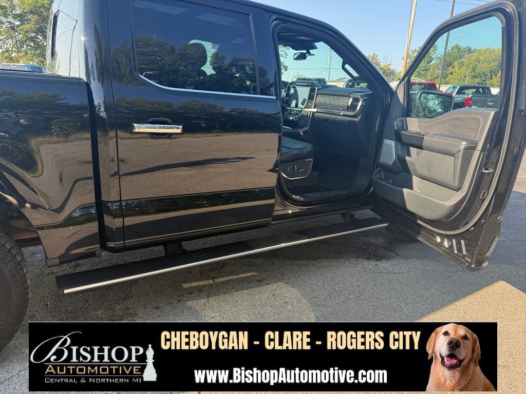 2021 Ford F-150 Platinum photo 18