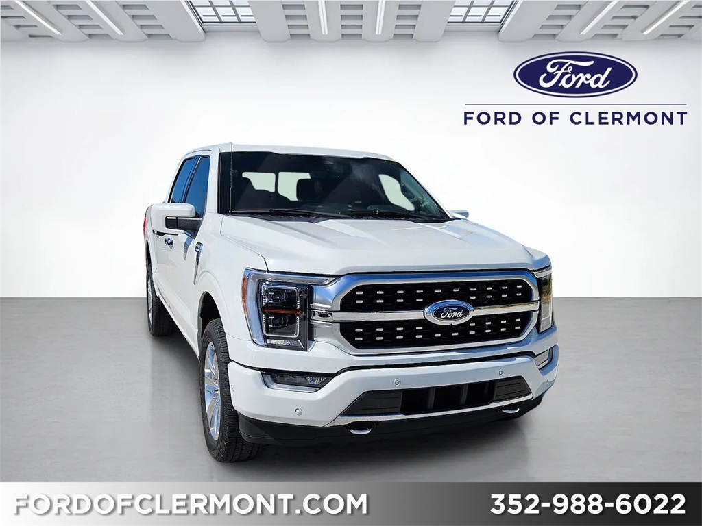 2023 Ford F-150 Platinum's photo