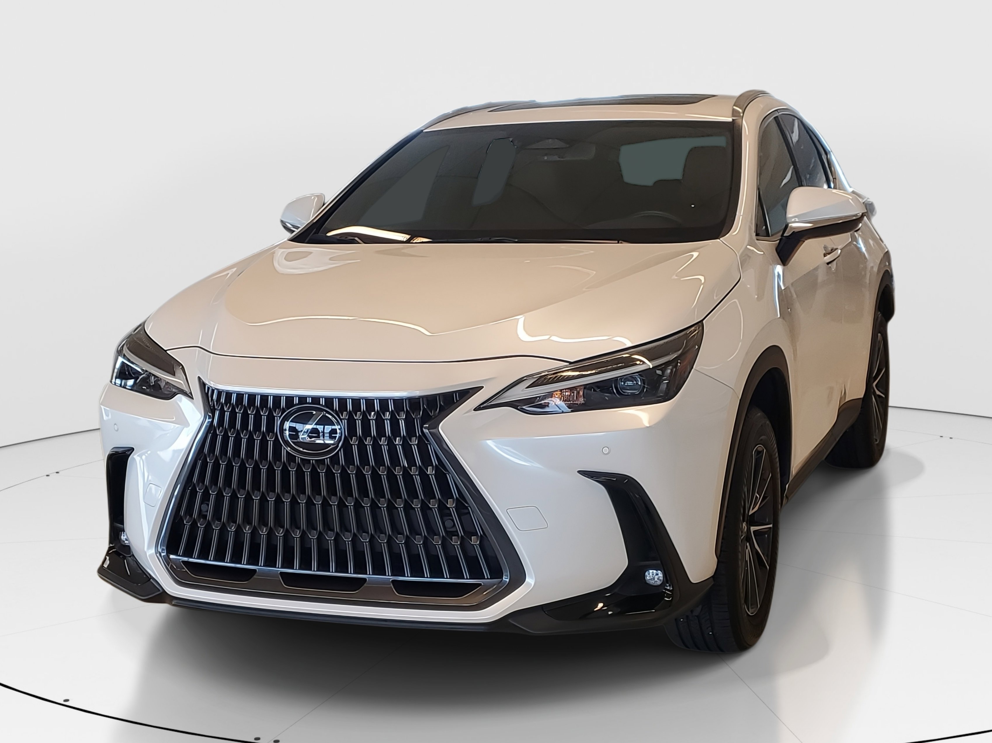 2025 Lexus NX 250 Premium photo 4