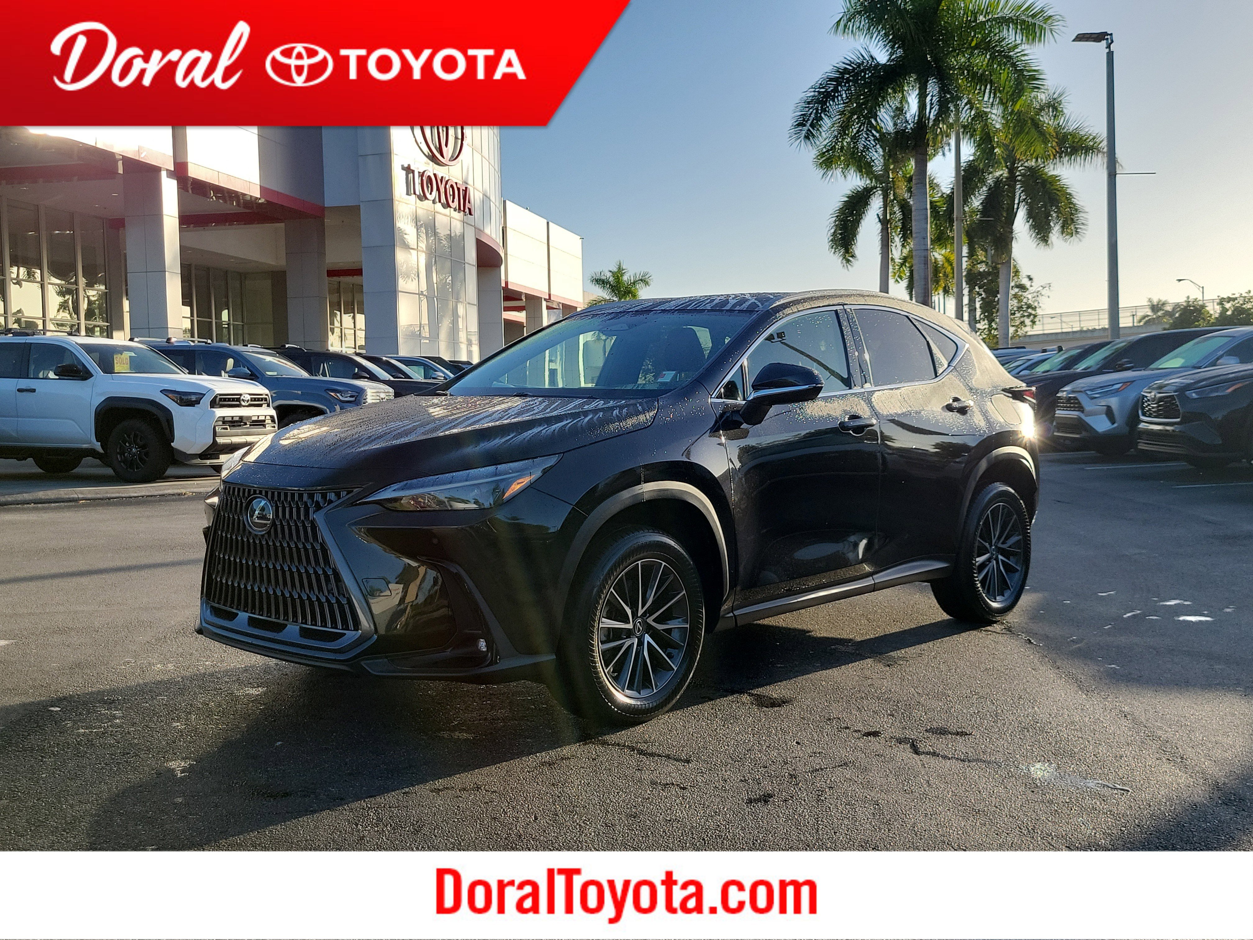 2024 Lexus NX Hybrid