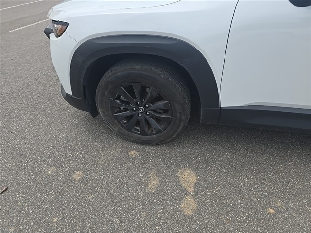 2024 Mazda CX-50 2.5 S Preferred photo 16