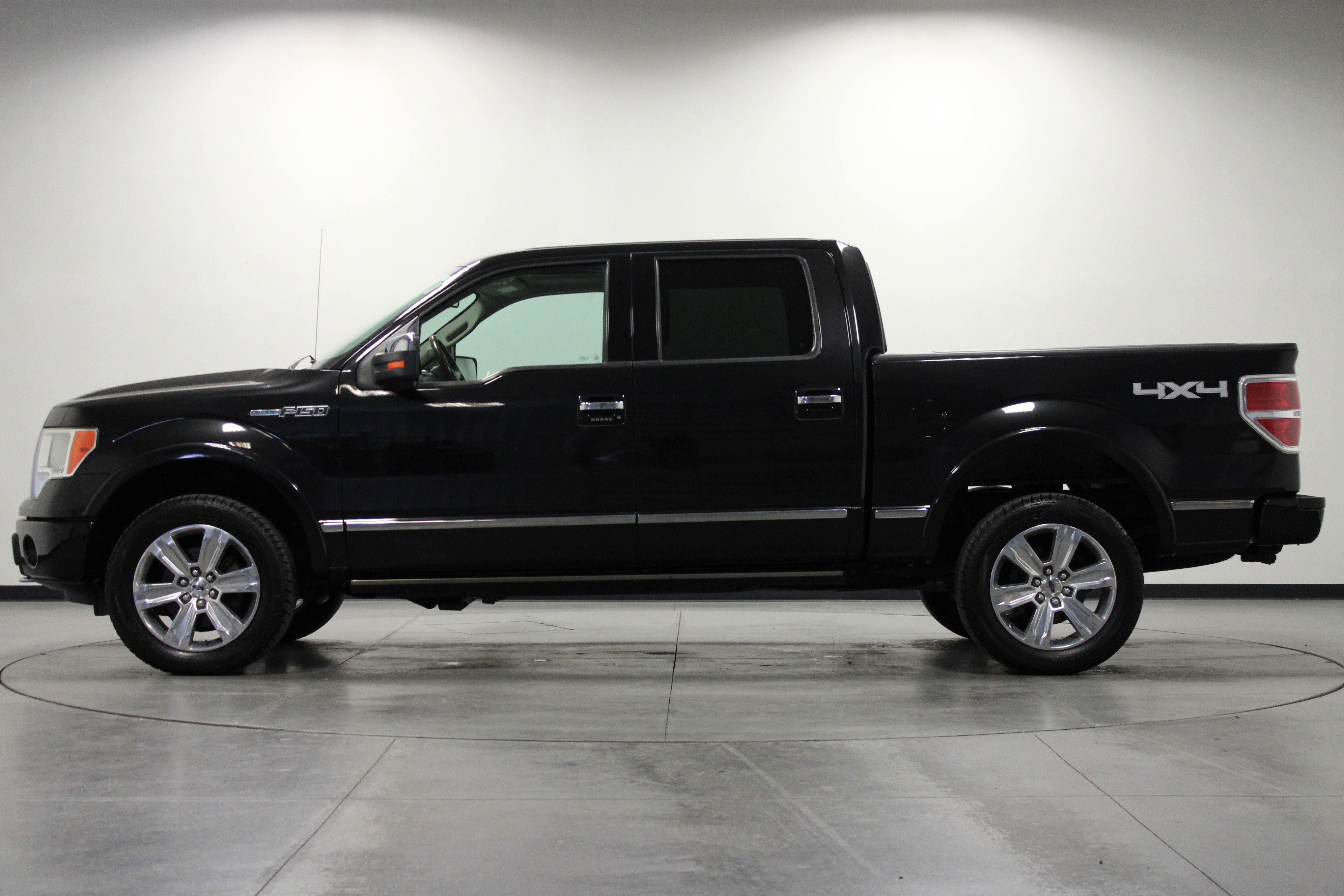 2010 Ford F-150 Platinum photo 6