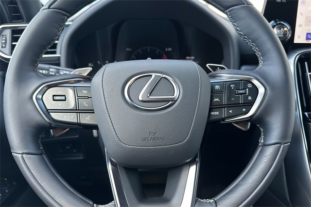2025 Lexus LX 600 Luxury photo 9