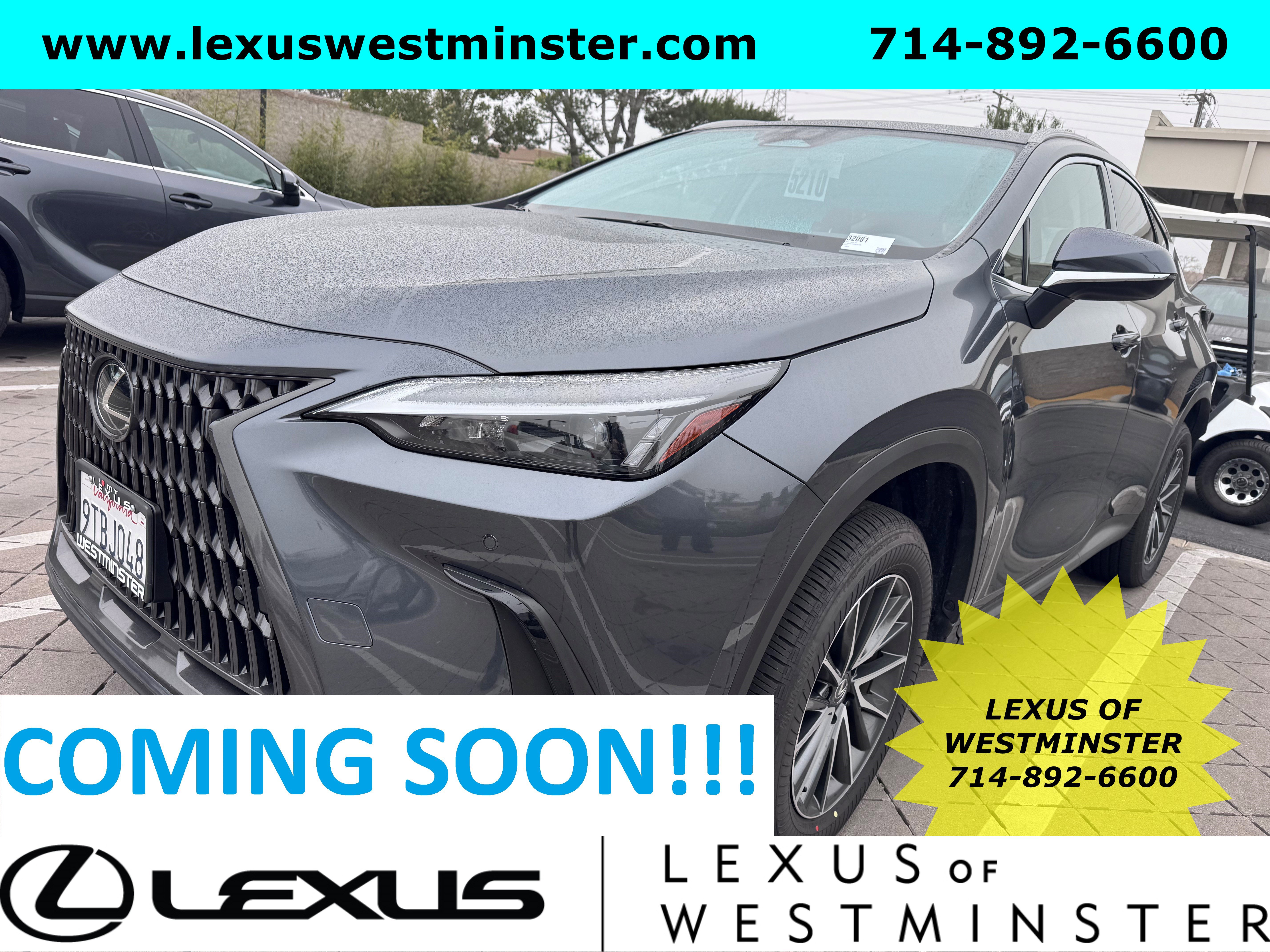 2025 Lexus NX Hybrid 350h's photo