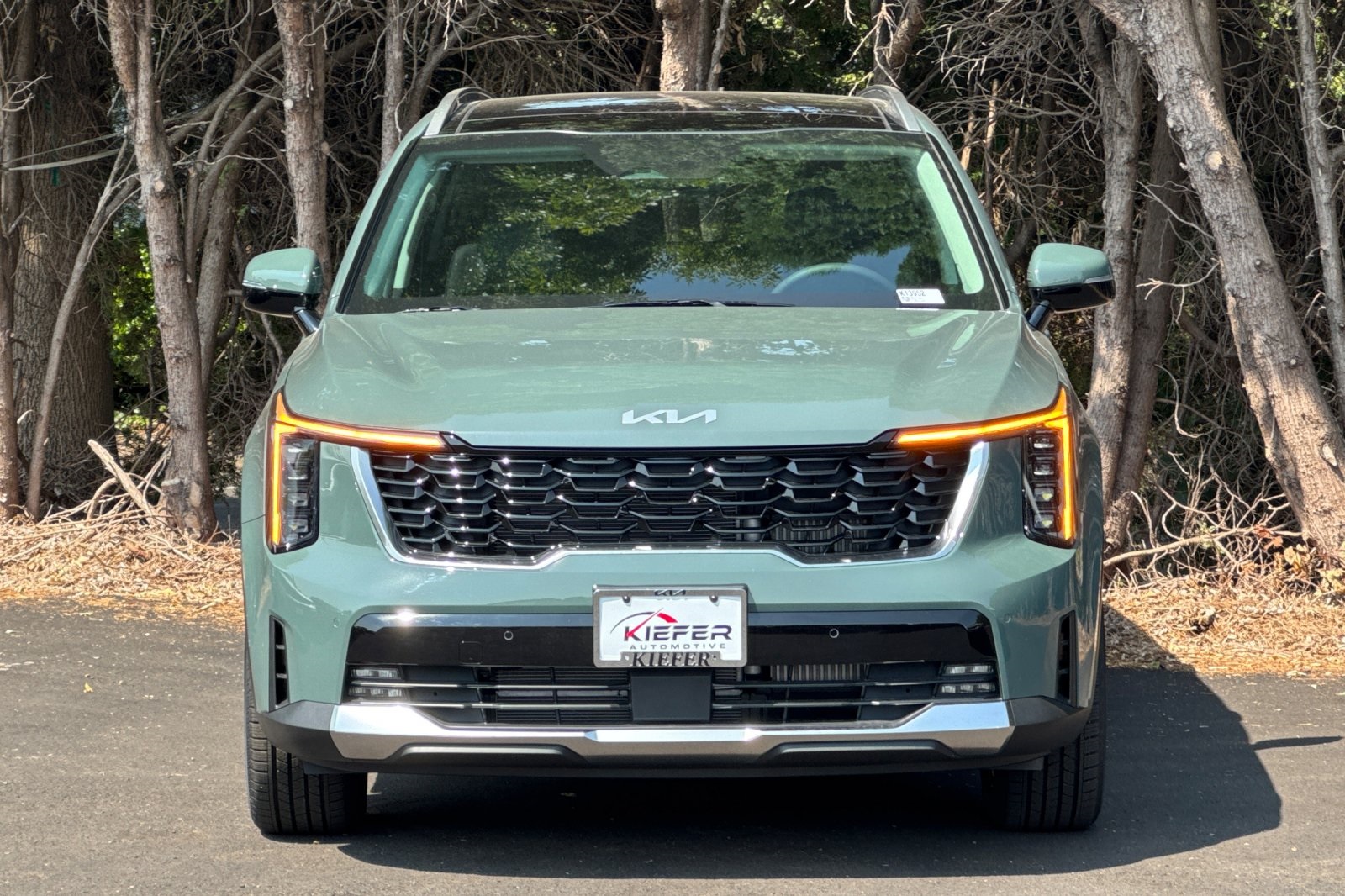 2025 Kia Sorento Hybrid EX photo 4
