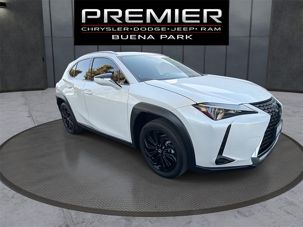 2023 Lexus UX Hybrid 250h's photo