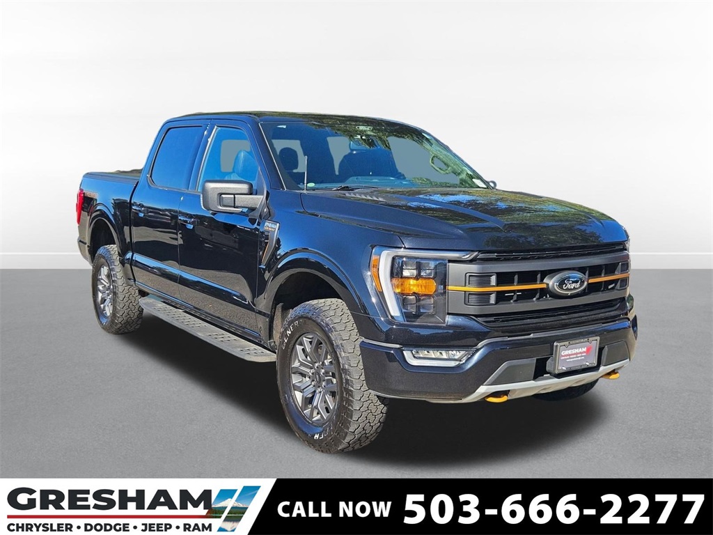 2022 Ford F-150 Tremor's photo