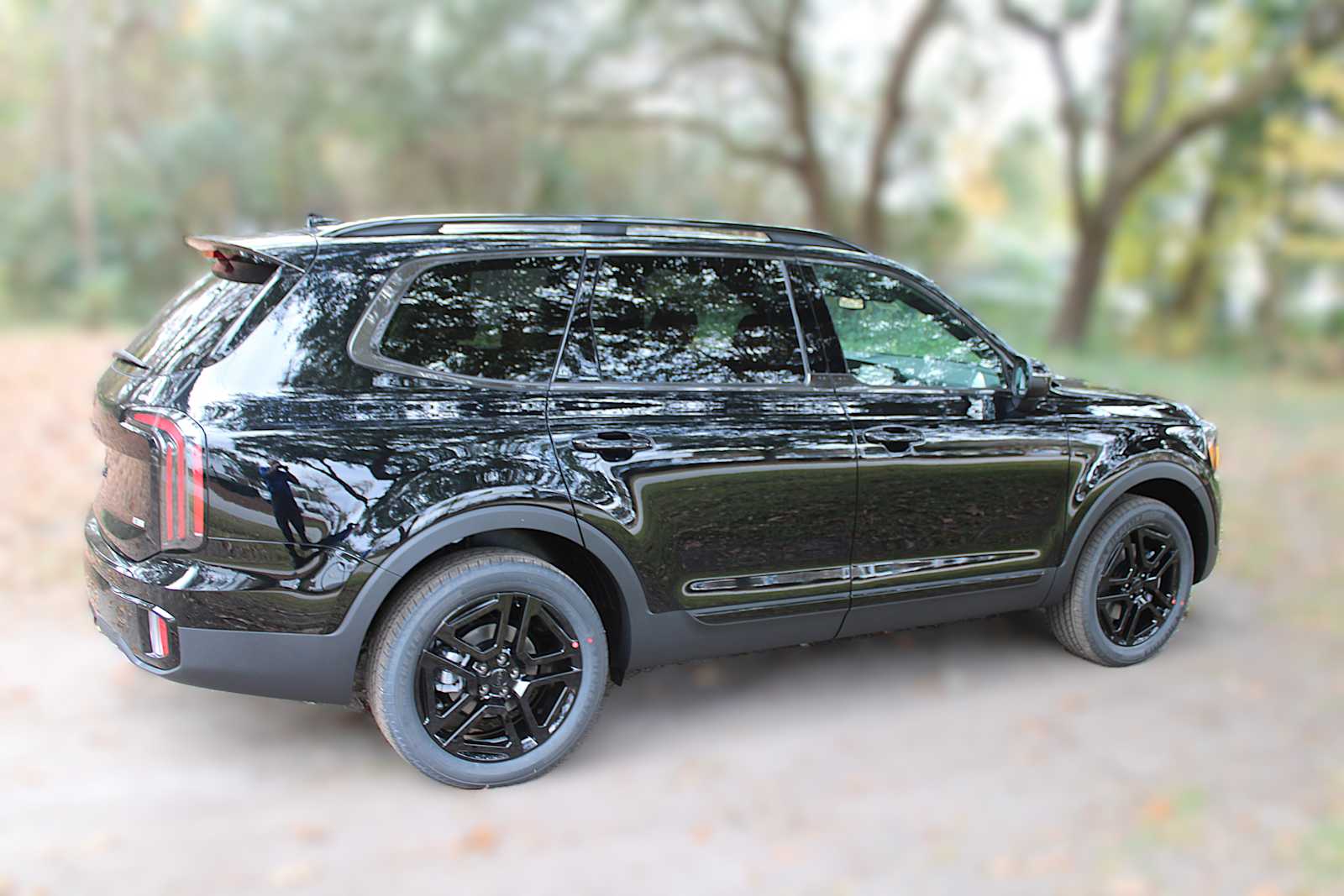 2025 Kia Telluride EX X-Line photo 5