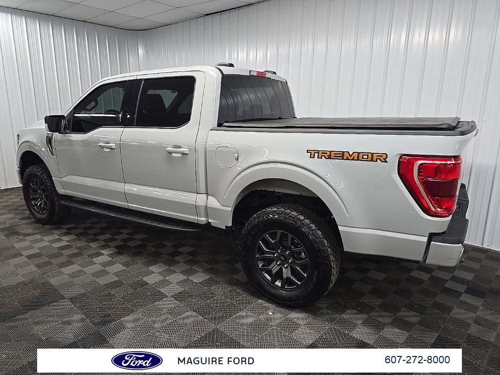 2023 Ford F-150 Tremor photo 4