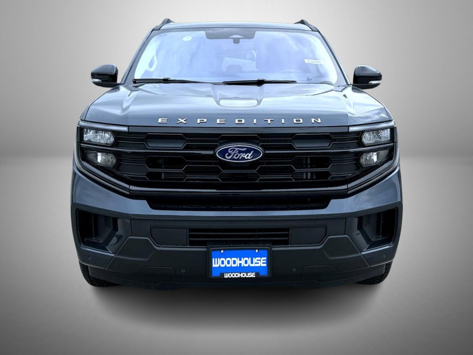 2025 Ford Expedition MAX photo 2