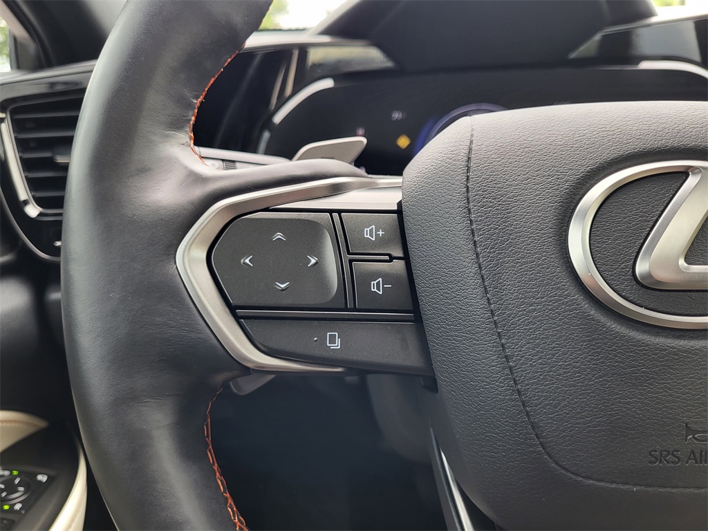 2024 Lexus NX 350h Luxury photo 19