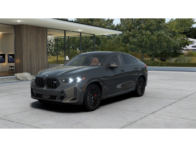 2026 BMW X6 M60i's photo