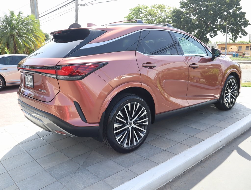 2023 Lexus RX 350 photo 2