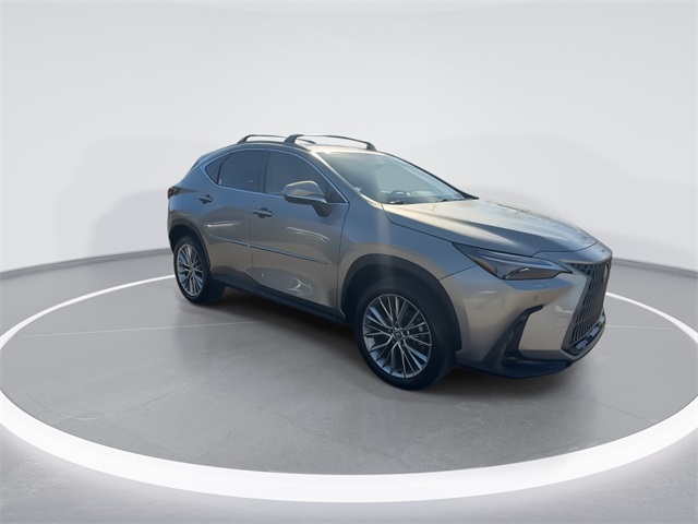 2024 Lexus NX 350h Luxury photo 2