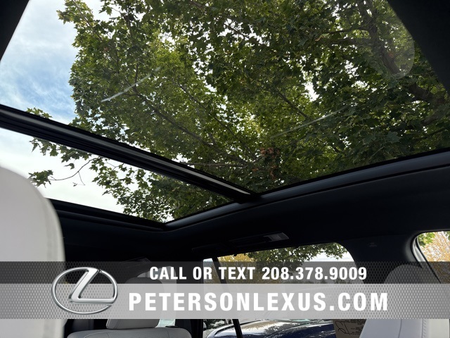 2025 Lexus TX 350 Luxury photo 11