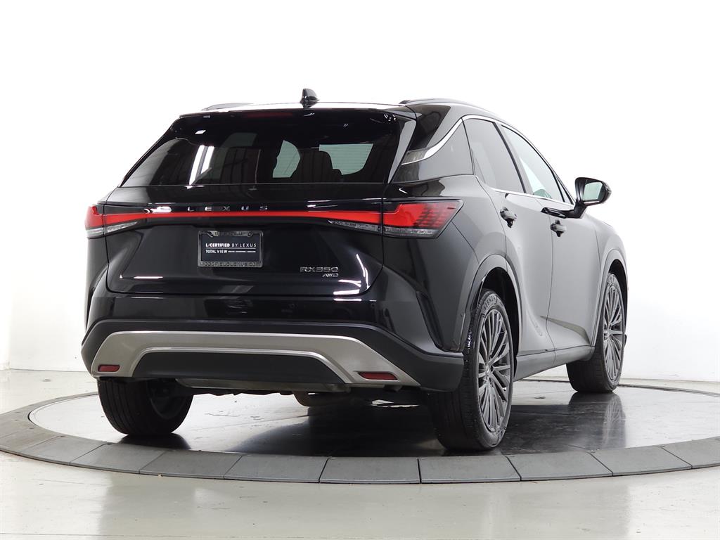 2024 Lexus RX 350 photo 6