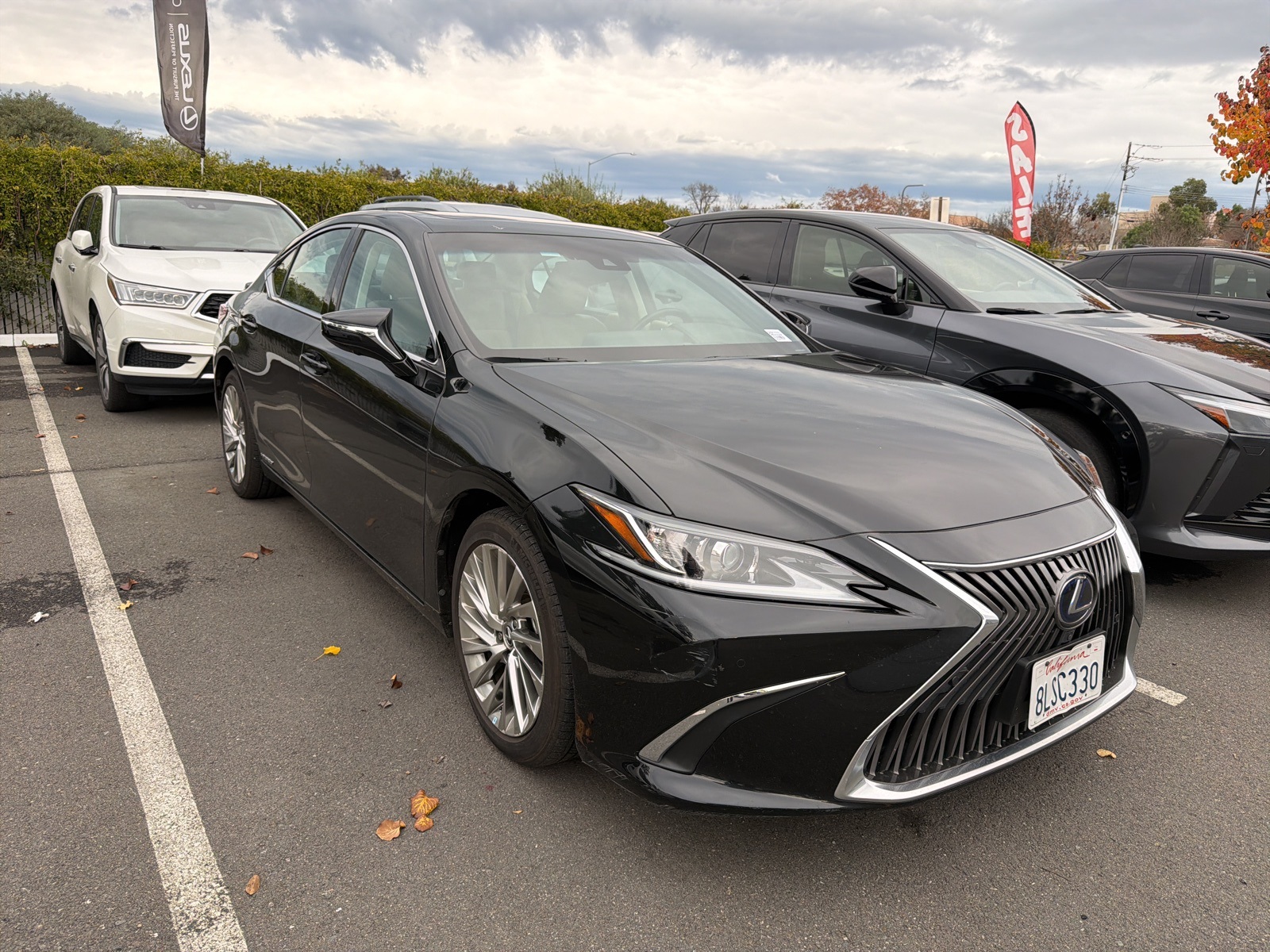 2019 Lexus ES Hybrid 300h's photo
