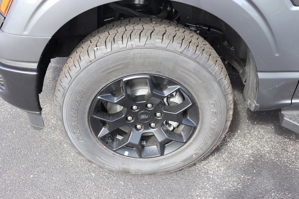 2025 Ford F-150 STX photo 3