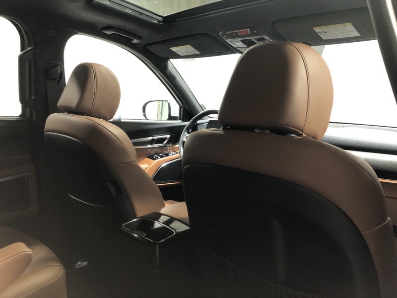 2025 Kia Telluride X-Line photo 10