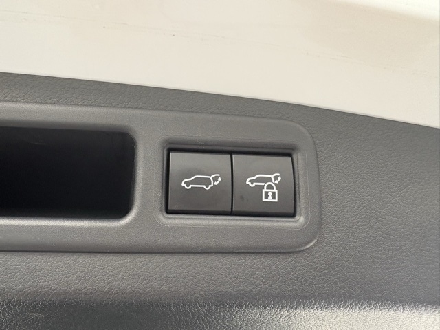 2024 Lexus RX 350h photo 25