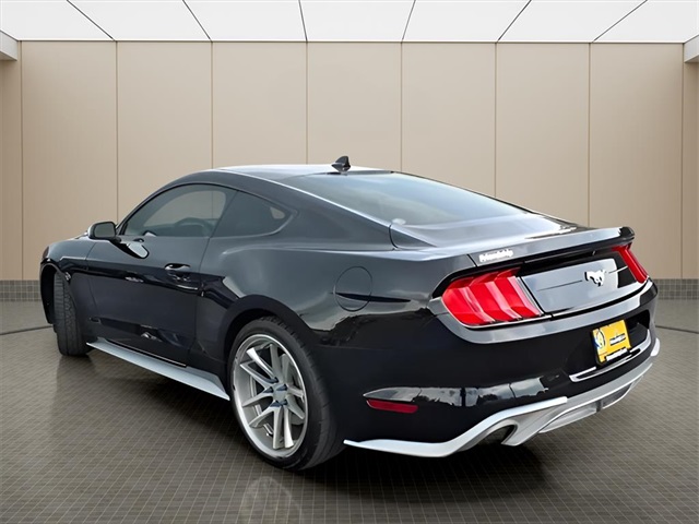 2022 Ford Mustang EcoBoost photo 3