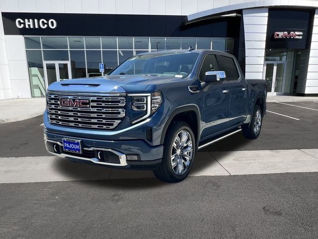 2025 Gmc Sierra 1500 Denali photo 3