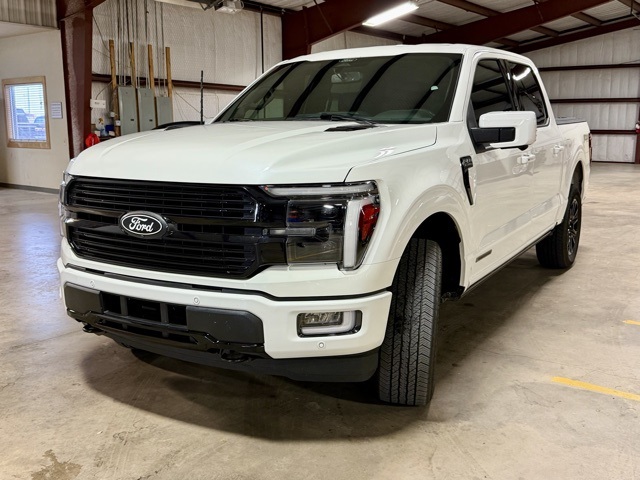 2024 Ford F-150 Platinum photo 2