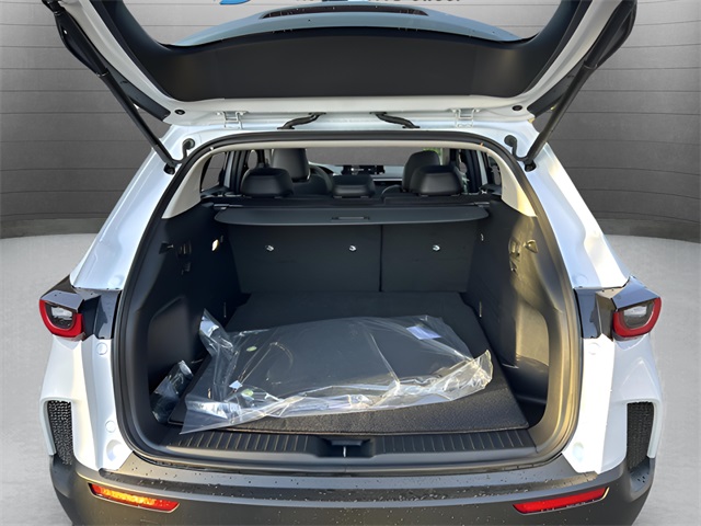 2025 Mazda CX-50 2.5 S Premium photo 30