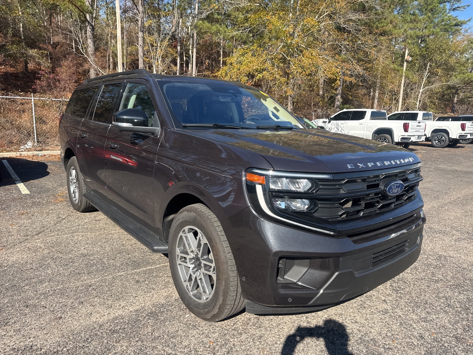 2025 Ford Expedition Active's photo