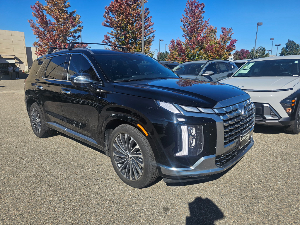 2024 Hyundai Palisade Calligraphy photo 4