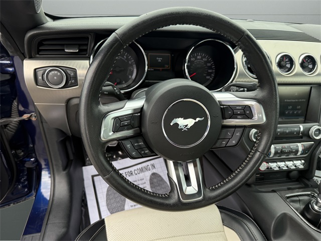 2015 Ford Mustang GT 50th Anniversary Edition photo 14