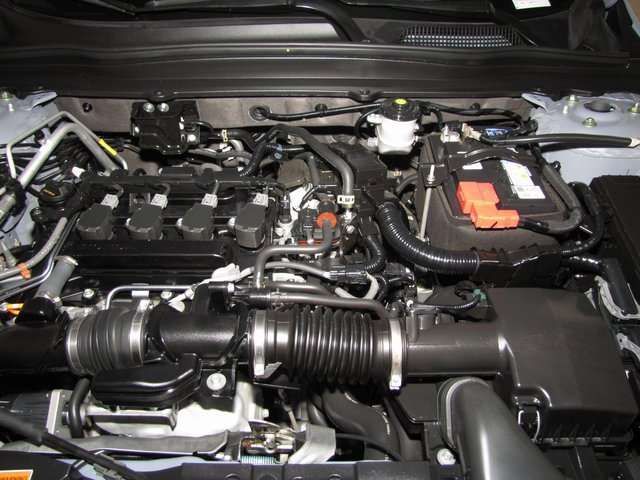 View 51
