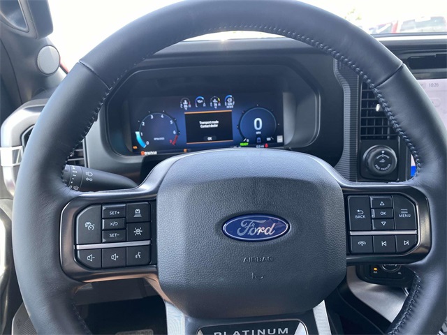 2025 Ford F-150 Platinum photo 15