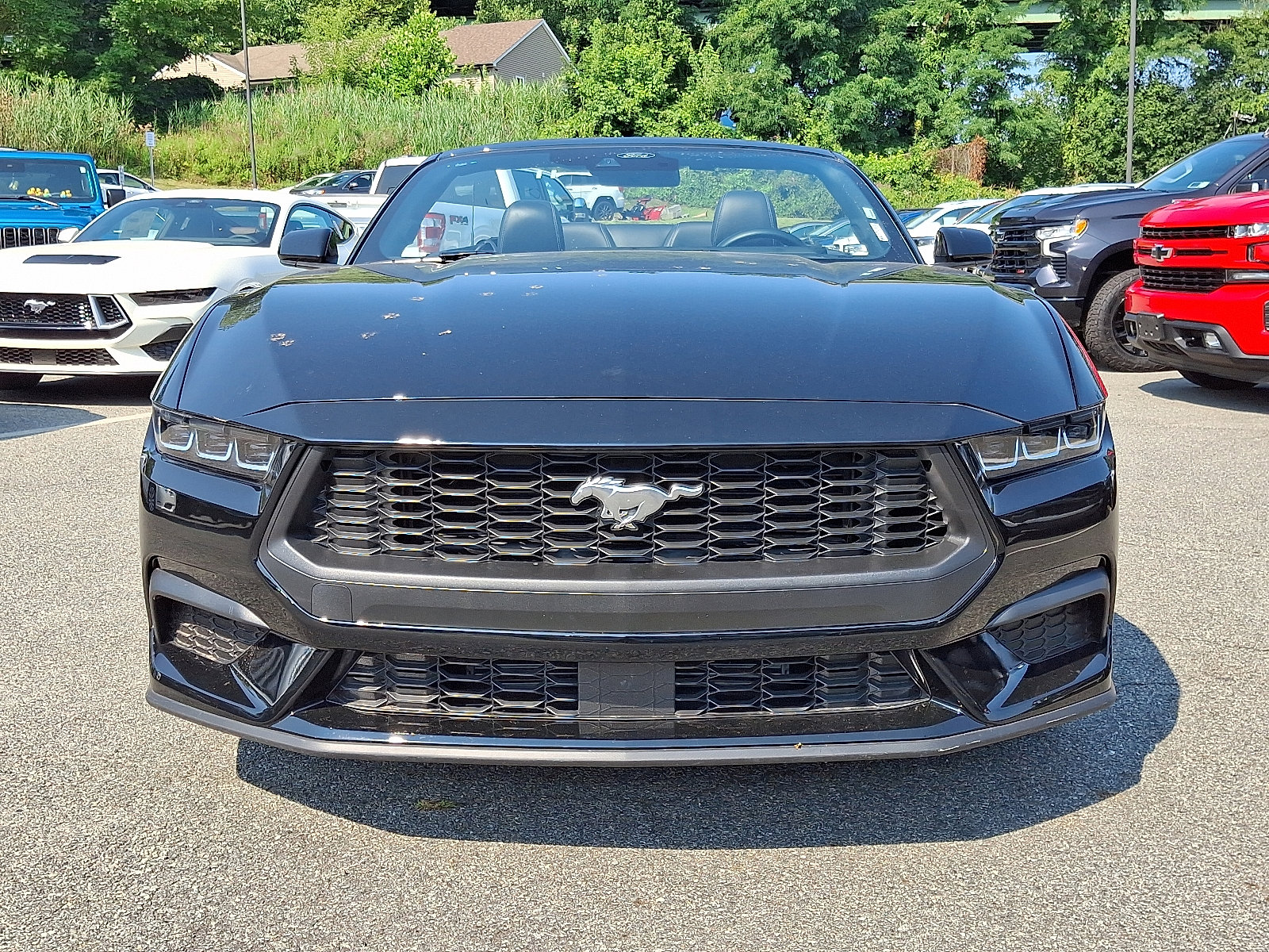 2025 Ford Mustang EcoBoost Premium photo 3